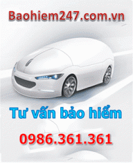 baohiem247